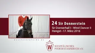24 Sir Donnerstein Hengst v. Sir Donnerhall I - Wind Dancer II