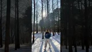 When Nami Island Turns Into a Winter Dream ❄️✨