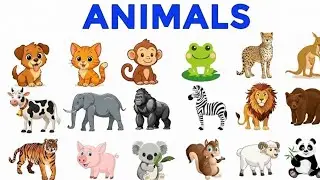 Animal Sounds for Children  | 20 Amazing Animals to learn | Animals names | Animal names in english 