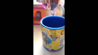 The ugly pet shop