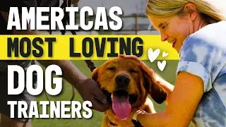 Don't Hire Bad Trainers  | Tip Top K9 Dog Training