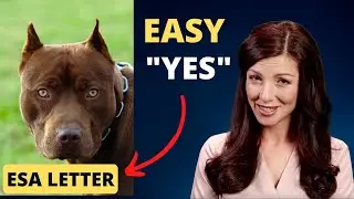 How To Easily Get Approved! (Breed Restricted Dog) - Rental Clients!