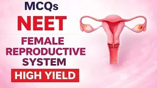 NEET Biology | Female Reproductive System - Set 1 | 10 MCQs with Answers (NCERT)