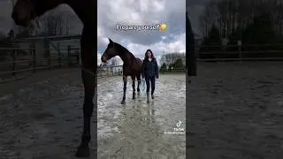 prepare yourselves for winter... 😂 #equestrian #tiktok #horses #funny