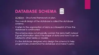 Database Schema and Database Instance