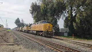 Union Pacific IOANP at Dusterberry Way Fremont, CA with UP #7257, #9010, #6565, #8415, and #2759