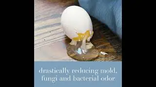 BacLock&reg; | The Science of Norwex&reg;