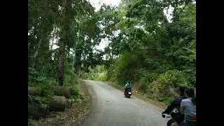 Dragonfruit Plantation - Inadlay