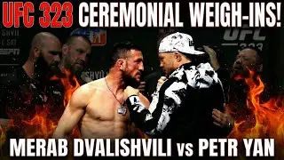 UFC 323 Ceremonial Weigh-Ins: Merab Dvalishvili vs Petr Yan