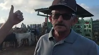 Cattle Fair in Guarabira, Para&iacute;ba, 11/12/2025
