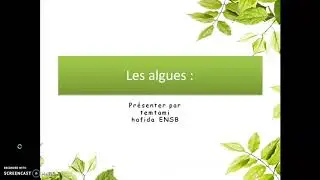 les algues partie 01: organisation de l’appareil végétative des algues + les types des thalles