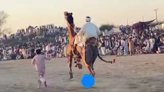 &lrm;