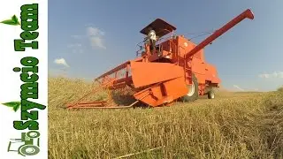 Żniwa 2016 II Bizon ZO56 SUPER II MF 255 II 1080p60Fps