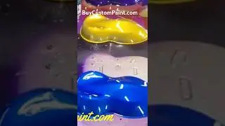 Grant 7 &ldquo;No Fade&rdquo; Candy Concentrate Champion Blue, Fool&rsquo;s Gold, Sour Grape, Magenta, Riddle Me Green