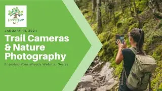 Enjoying Your Woods: Nature Photography