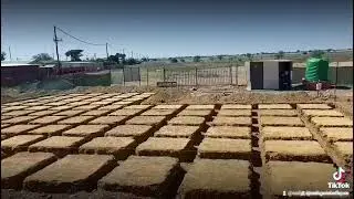 HARRISMITH SOIL POISONING SERVICES | 064 732 2021 | Same Day Soil Poisoning Certificate