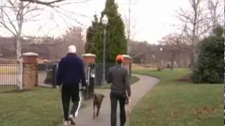Pedestrian Safety Press Release Video