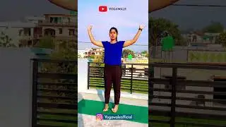 योग की शुरुआत ऐसे करें | How to Start Yoga First Time | Yogasana | Exercise | YouTube Shorts