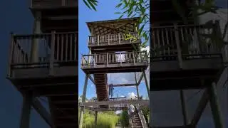 Climbing a Tower in the Middle of a Bamboo Forest! 🌳 #shorts