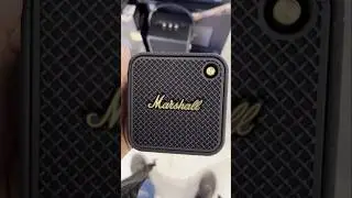 Marshall Willen 3 || first look #marshall