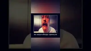 Вы нахуя айнуру трахнули 