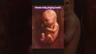 11weeks baby playing inside #fetusdevelopment #ultrasound #pregnant #babyultrasound #babyscan