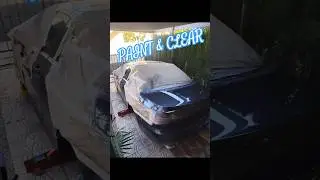 Paint and clear down on #bmw #e93 #car #automobile #convertible #spray #paint #auto #clearcoat #diy