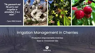 Advanced Irrigation Management in Cherries