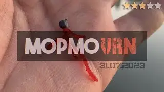 #65 #мормышинг | Красивая природа | Мотыль пучком | Whitebait 0.8 | Kosadaka | Dayo Prestige |