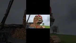 AKTIONSWAGEN ! KTS SBF 5,5 R&uuml;ckewagen Holzwagen Forst Kran, Neu