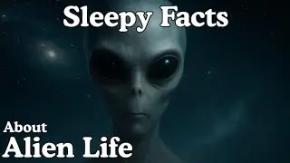The Most Relaxing Facts About Alien Life to Fall Asleep To