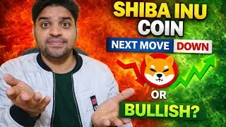 SHIBA INU COIN Next Move Crash Or Bullish 