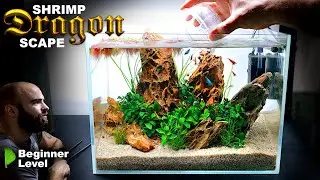 Нано-аквариум &laquo;Креветочный дракон&raquo;: НОВАЯ установка для аквариума Neocaridina Aquascape. Учебное ...