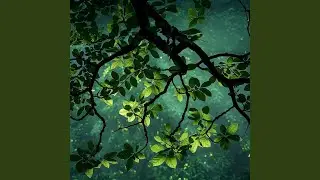 Green Oracle
