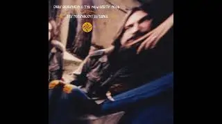 Chris Robinson & the New Eath Mud ⭐This Magnificent Distance⭐40 Days⭐. (**2004**)
