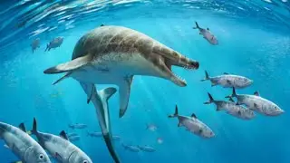 У свирепых мозазавров были сцепленные зубы, похожие на кинжалы!!!