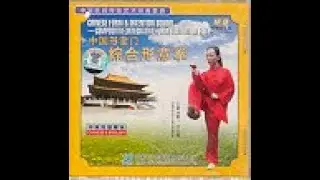 Hsing-I Competition Routine