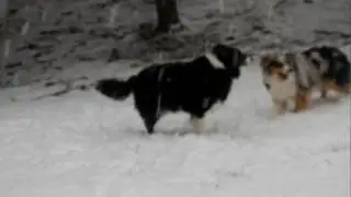 Snopocalypse