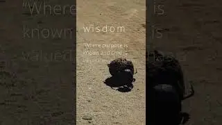 Where Wisdom Abides | Kingdom Lexicon | Seed Gallery #wisdom #art #artist #knowledge #shorts