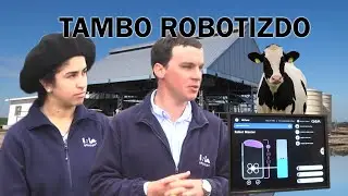 TAMBO ROBOTIZADO | LA ESTANZUELA