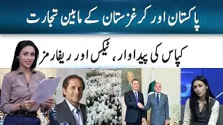 Cotton Revival Plan 2026 | Faisal Aftab | Inside Scoop  | 365 News