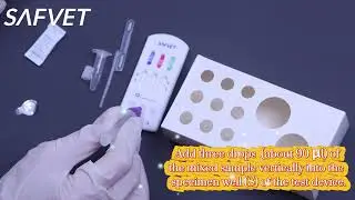 EHR ANA BAB Test Kit | Rapid Screening for Canine Hemoparasites and Autoimmune Disorders