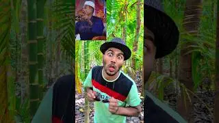 Сэр, вы правы 🙄🤣 #смешноевидео