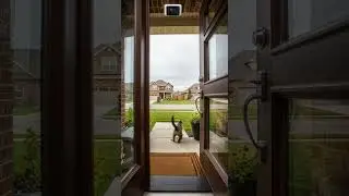 Oh nooooooooo Poor monkey funny fail moment caught on camera #ai #aishorts #funny
