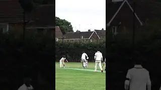 BEST CRICKET: MEGA STUMPING! 🏏🏏🏏 #stumpsandbails