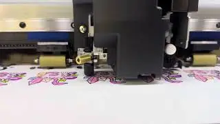Printing on the Roland Truevis vg3-540 contour cut stickers