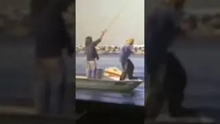 Incredible footage of big yellowtail being caught in King Harbor, Redondo Beach, CA, USA, in 1975 ￼
