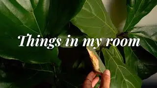 Showing you things in my room (Soft Spoken)