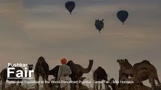 Pushkar Fair Tour - Max Holidays