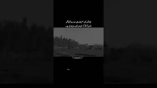 Ibadaton ma masroof Hain sary aj kal....🥹💔🌸🍂 #poetryworld #emotionaldistress #sadshayari #ytshorts